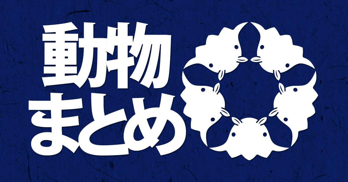 メンダコを主にした動物をモチーフに作ったオリジナルの家紋の紹介ページのアイキャッチ画像