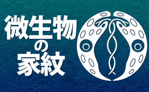 ミドリムシのいる微生物のオリジナル家紋のアイキャッチ画像