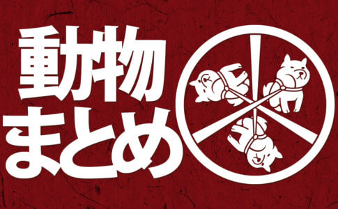 動物をモチーフに作ったオリジナルの家紋の紹介ページのアイキャッチ画像