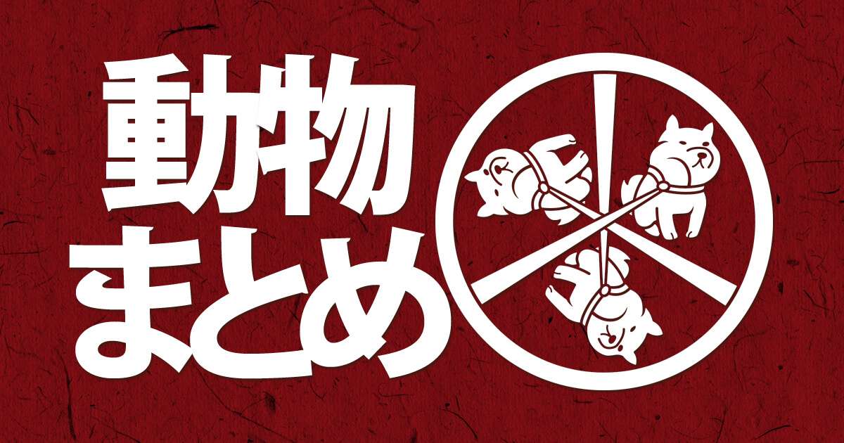 動物をモチーフに作ったオリジナルの家紋の紹介ページのアイキャッチ画像